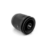 Air Spring:TR9935