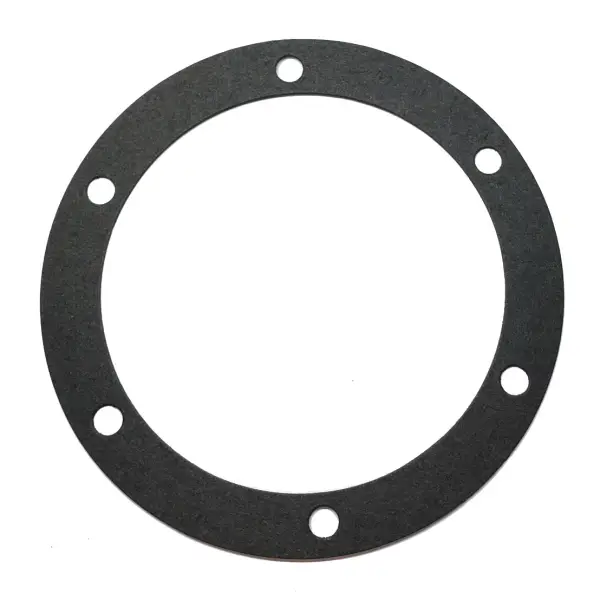 TR3303009 Hub Cap Gasket