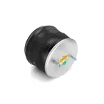 Air Spring:TR8729